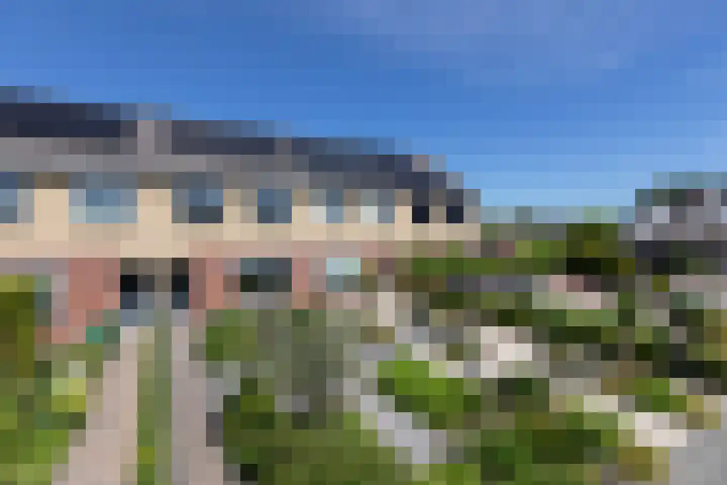 Penningkruid 39 Sneek thumbnail 37
