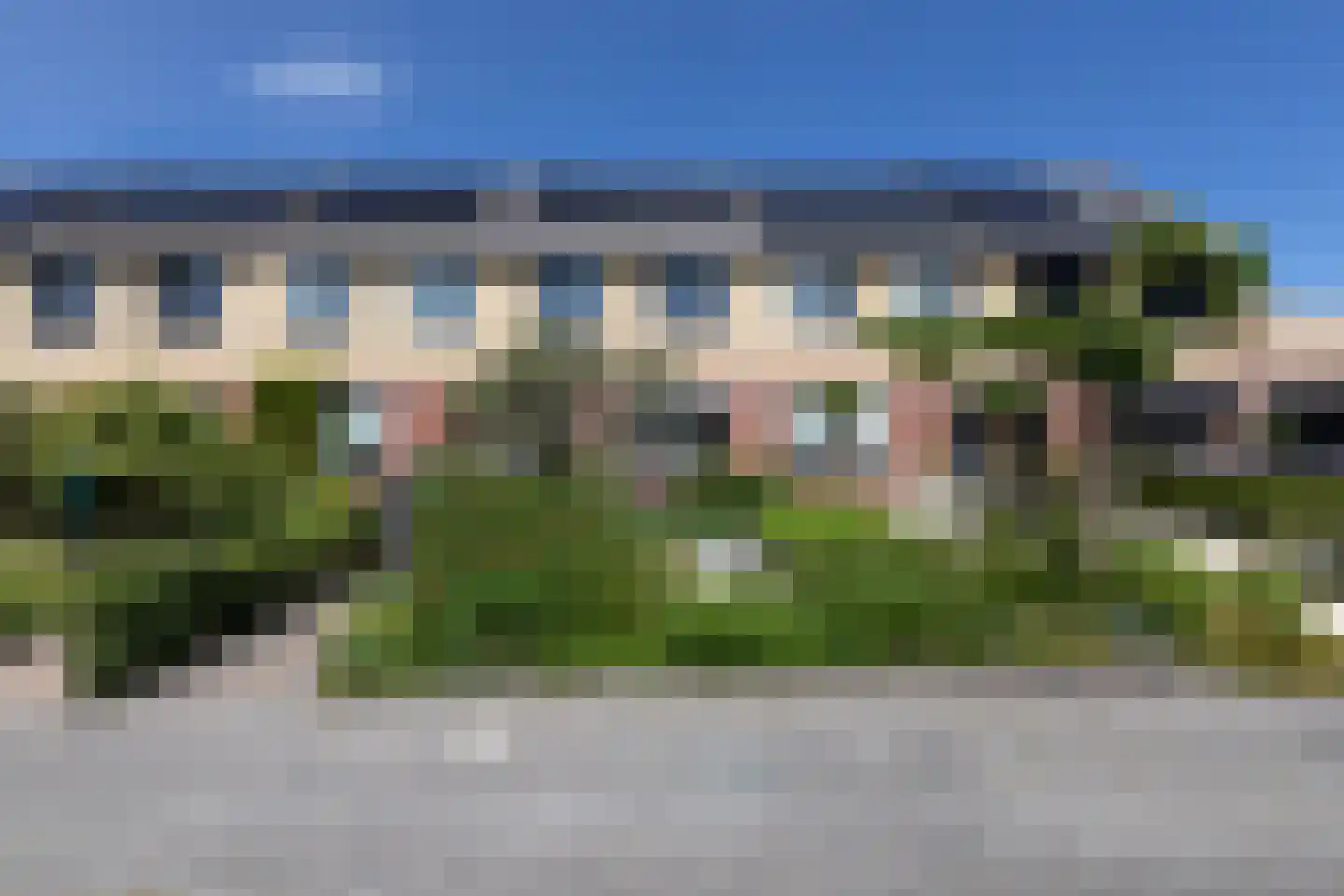 Penningkruid 39 Sneek thumbnail 38
