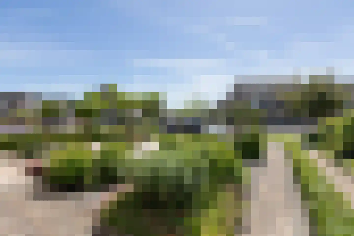 Penningkruid 39 Sneek thumbnail 39