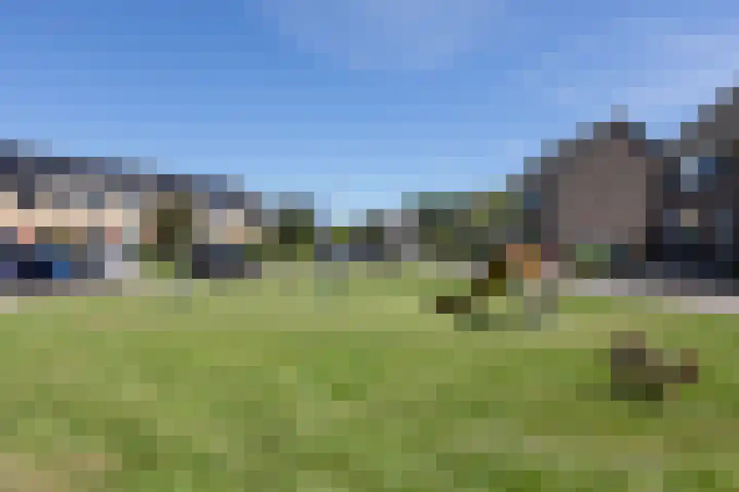 Penningkruid 39 Sneek thumbnail 40