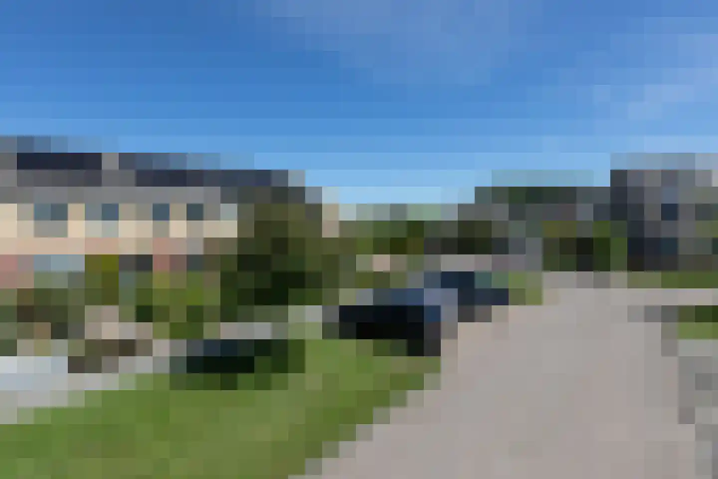 Penningkruid 39 Sneek thumbnail 41