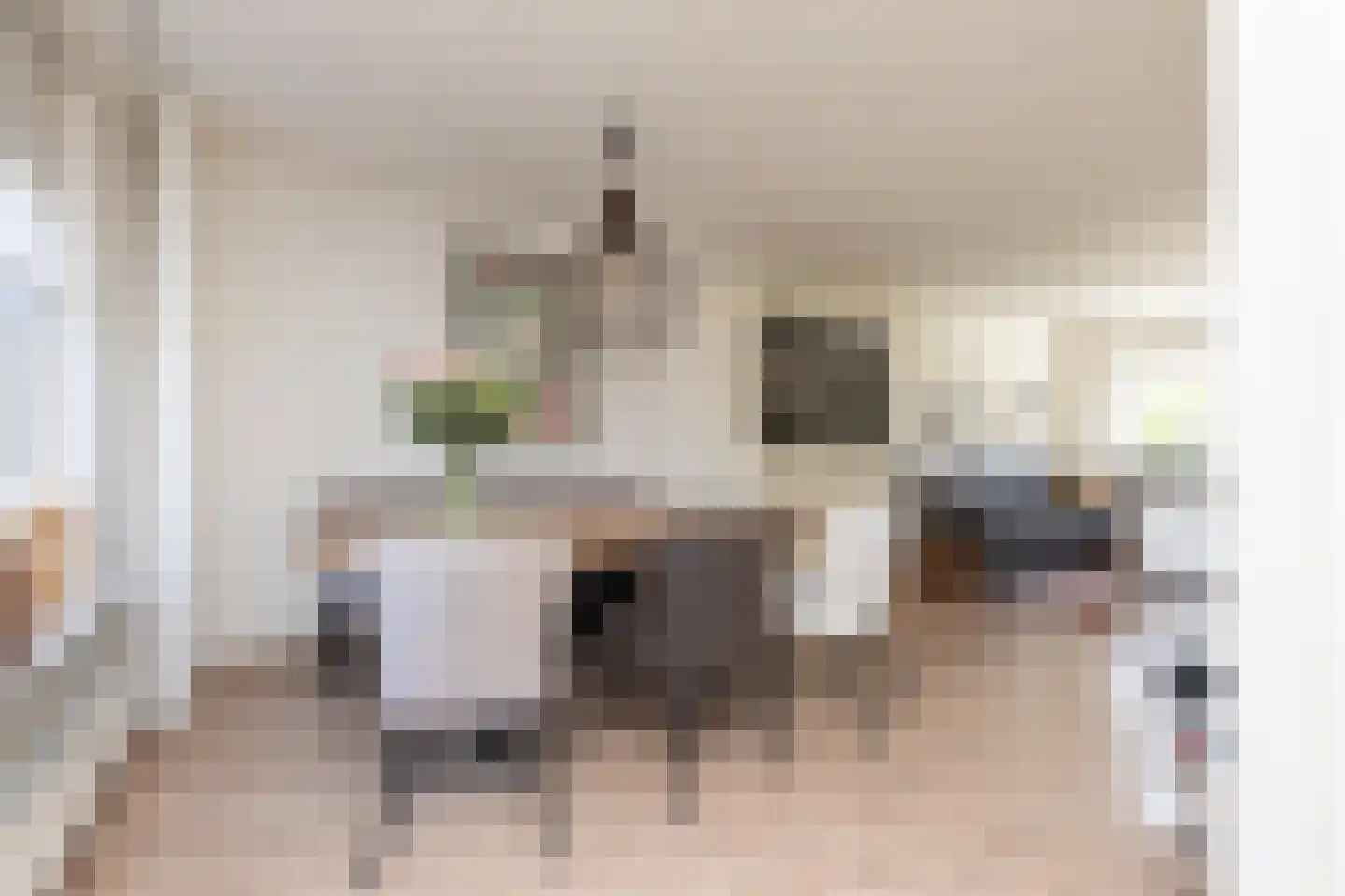 Penningkruid 39 Sneek thumbnail 7