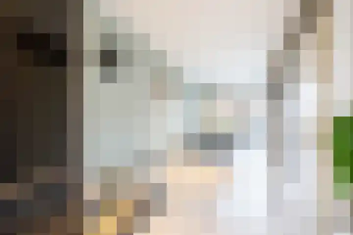 Penningkruid 40 Nieuwerkerk aan den IJssel thumbnail 10