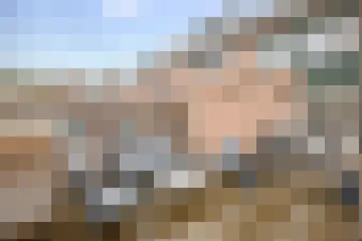 Penningkruid 40 Nieuwerkerk aan den IJssel thumbnail 27