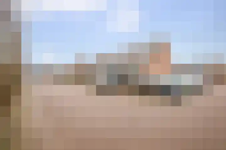 Penningkruid 40 Nieuwerkerk aan den IJssel thumbnail 30