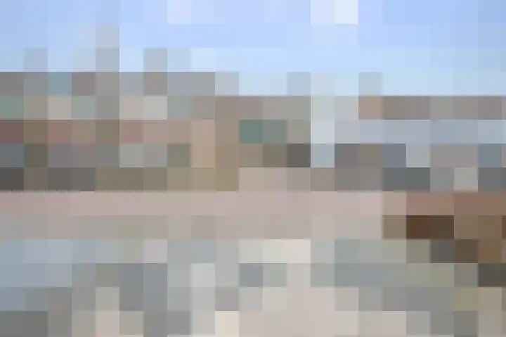Penningkruid 40 Nieuwerkerk aan den IJssel thumbnail 31