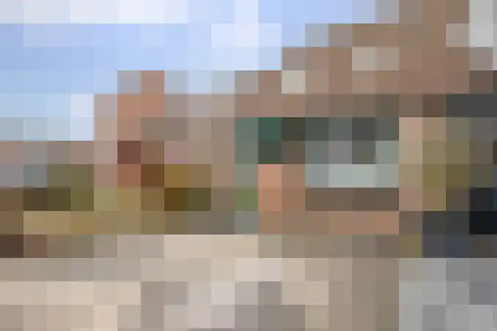 Penningkruid 40 Nieuwerkerk aan den IJssel thumbnail 32