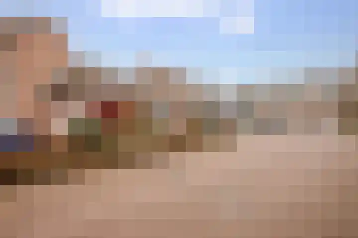 Penningkruid 40 Nieuwerkerk aan den IJssel thumbnail 33