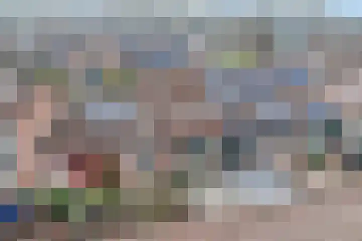 Penningkruid 40 Nieuwerkerk aan den IJssel thumbnail 34