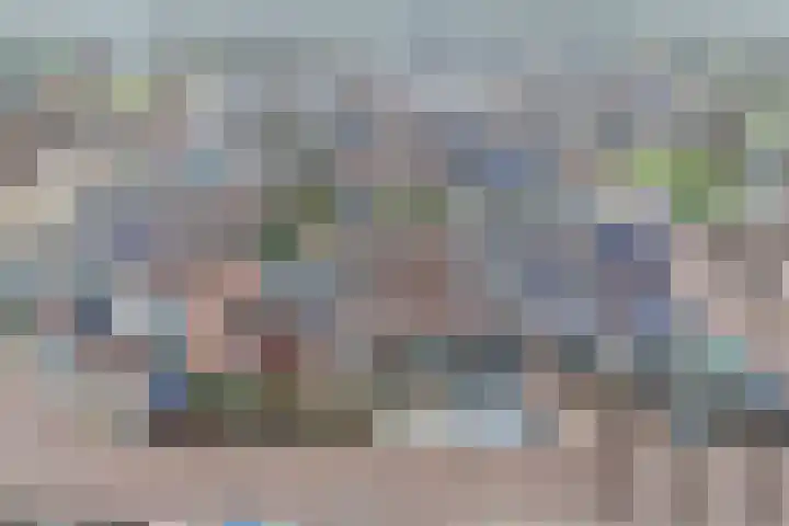 Penningkruid 40 Nieuwerkerk aan den IJssel thumbnail 38