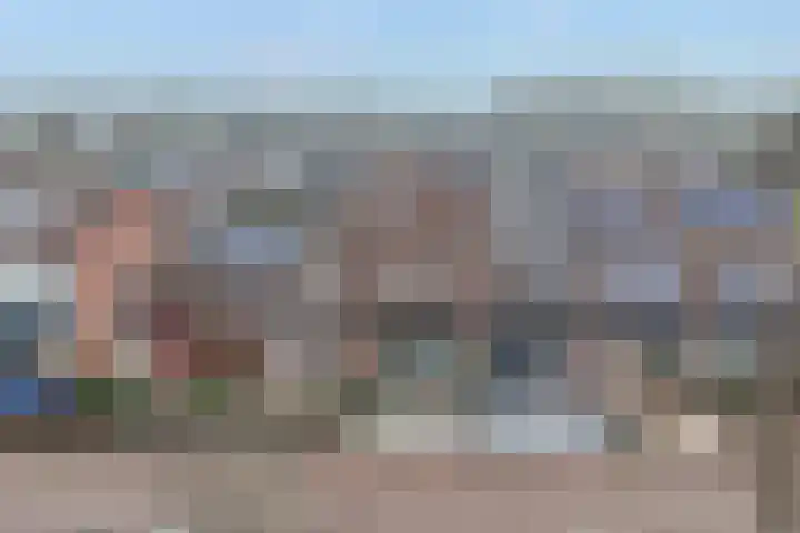 Penningkruid 40 Nieuwerkerk aan den IJssel thumbnail 39