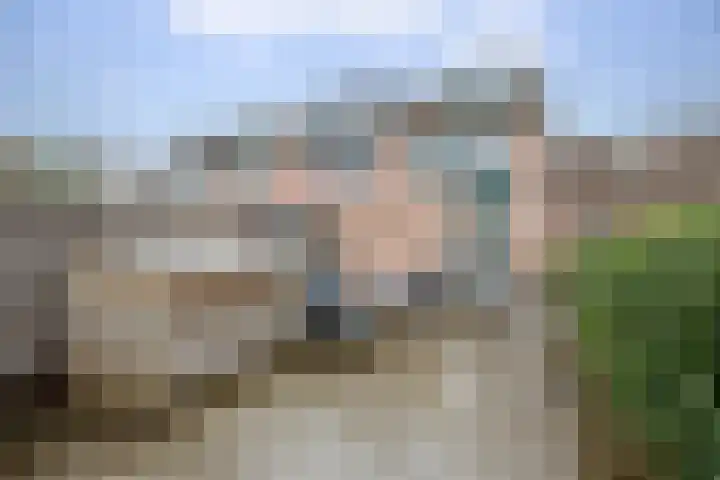 Penningkruid 40 Nieuwerkerk aan den IJssel thumbnail 4