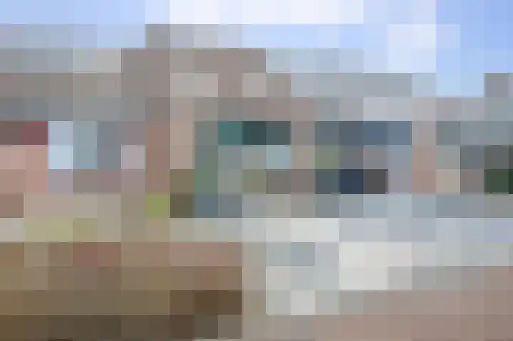 Penningkruid 40 Nieuwerkerk aan den IJssel thumbnail 5