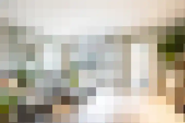 Penningkruid 40 Nieuwerkerk aan den IJssel thumbnail 8
