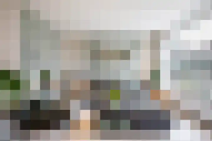 Penningkruid 40 Nieuwerkerk aan den IJssel thumbnail 9
