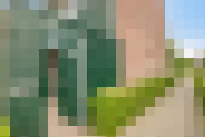 Penningkruid 41 Kampen thumbnail 10