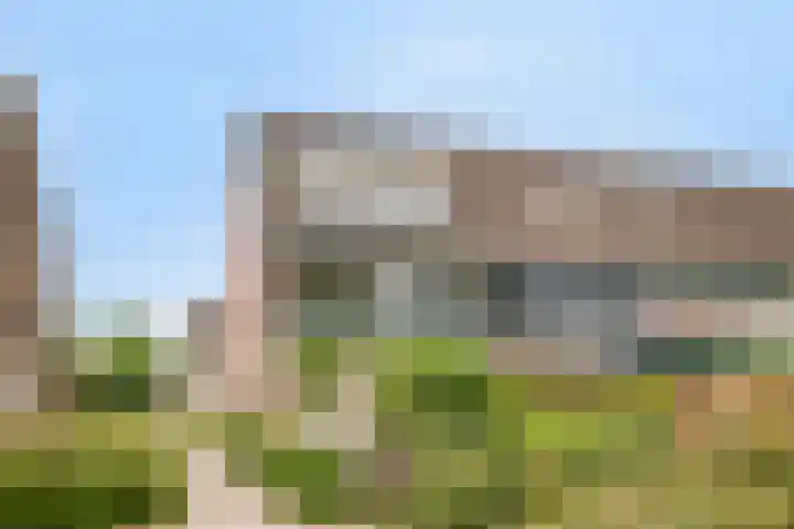 Penningkruid 41 Kampen thumbnail 37