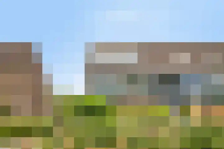 Penningkruid 41 Kampen thumbnail 38