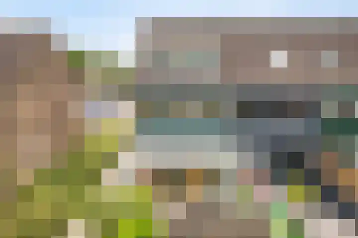 Penningkruid 41 Kampen thumbnail 40