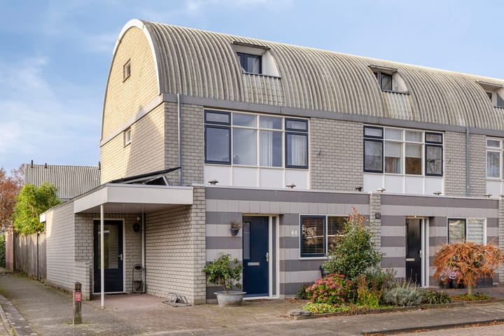 Penningkruid 44 en Asten foto