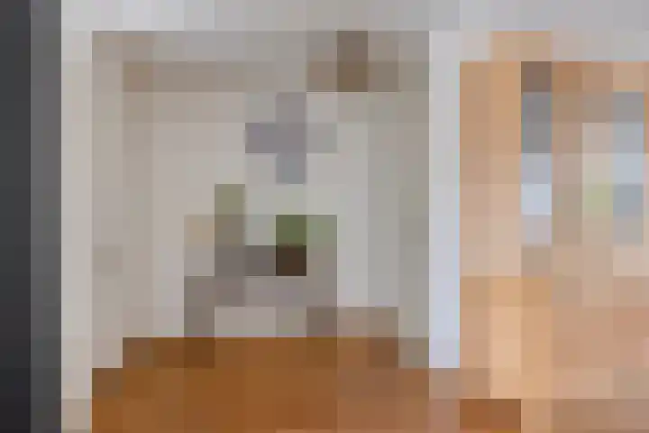 Penningkruid 44 Asten thumbnail 11