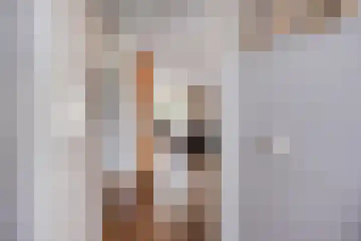 Penningkruid 44 Asten thumbnail 12