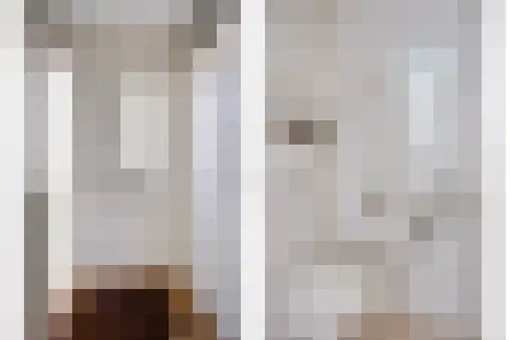 Penningkruid 44 Asten thumbnail 13