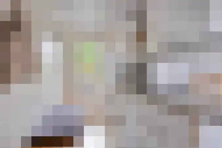 Penningkruid 44 Asten thumbnail 14