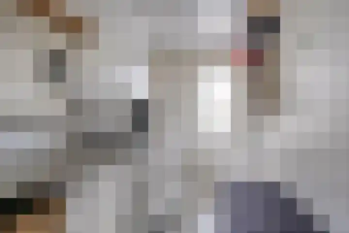 Penningkruid 44 Asten thumbnail 15