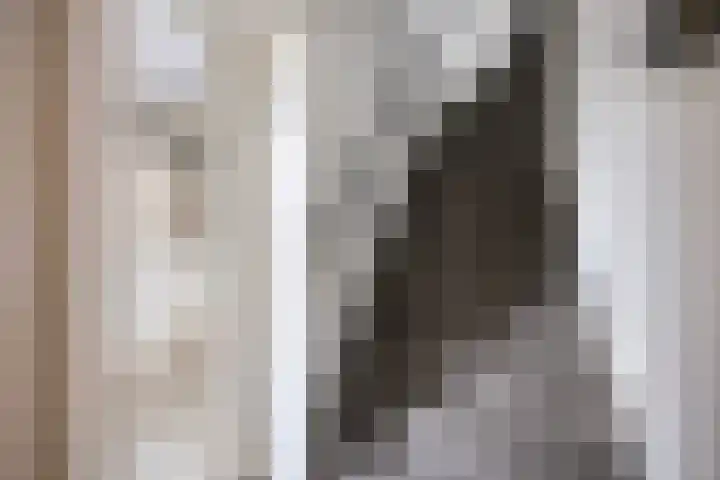 Penningkruid 44 Asten thumbnail 16