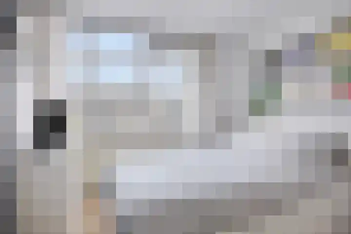 Penningkruid 44 Asten thumbnail 17