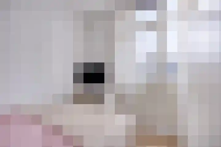 Penningkruid 44 Asten thumbnail 19