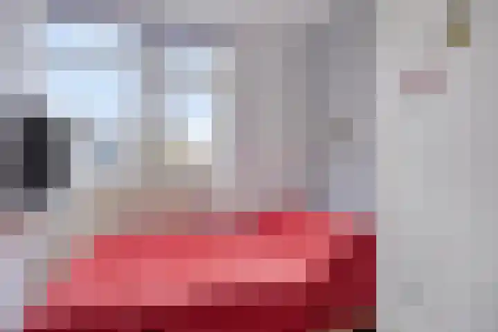 Penningkruid 44 Asten thumbnail 21