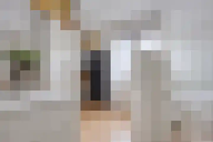 Penningkruid 44 Asten thumbnail 26