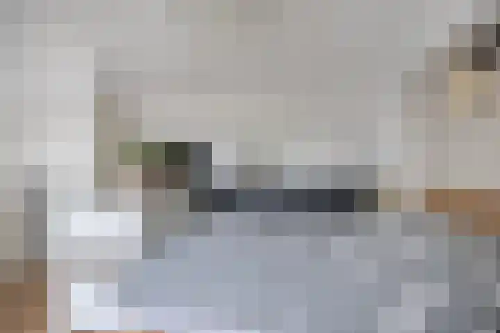 Penningkruid 44 Asten thumbnail 28