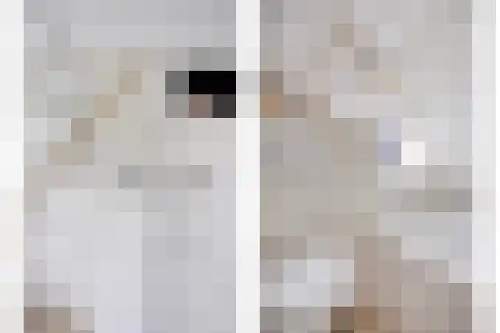 Penningkruid 44 Asten thumbnail 30