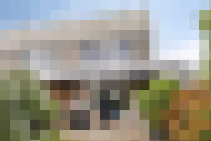 Penningkruid 44 Asten thumbnail 32