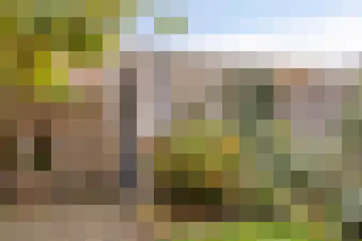 Penningkruid 44 Asten thumbnail 35
