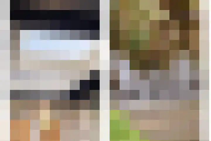 Penningkruid 44 Asten thumbnail 36