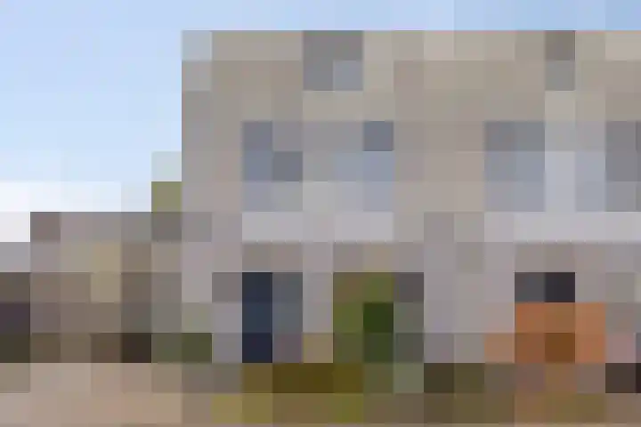 Penningkruid 44 Asten thumbnail 37