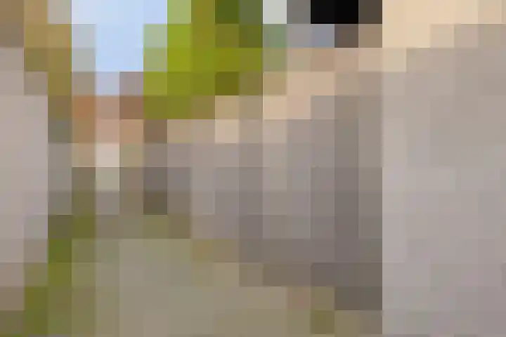 Penningkruid 44 Asten thumbnail 39