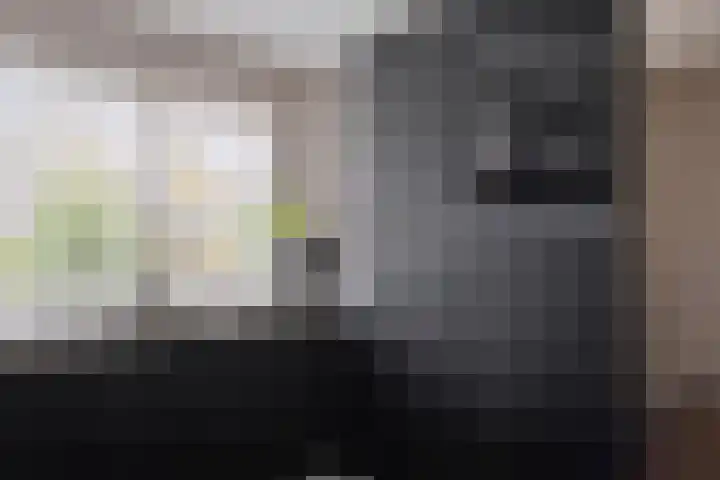 Penningkruid 44 Asten thumbnail 4