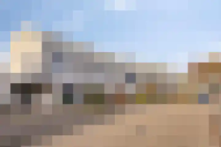 Penningkruid 44 Asten thumbnail 40