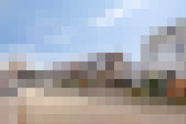Penningkruid 44 Asten thumbnail 41