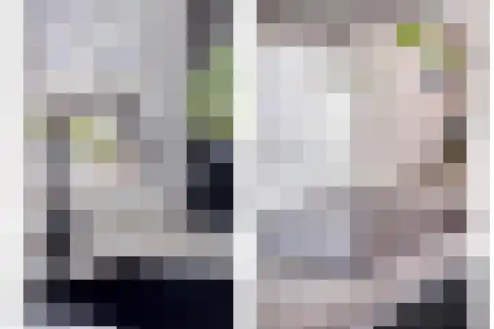 Penningkruid 44 Asten thumbnail 5