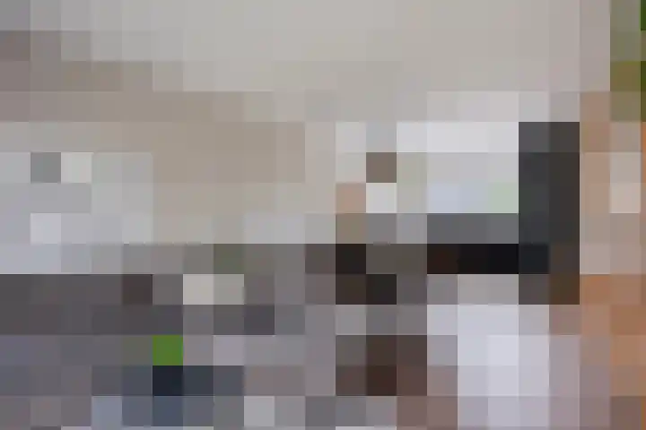 Penningkruid 44 Asten thumbnail 6