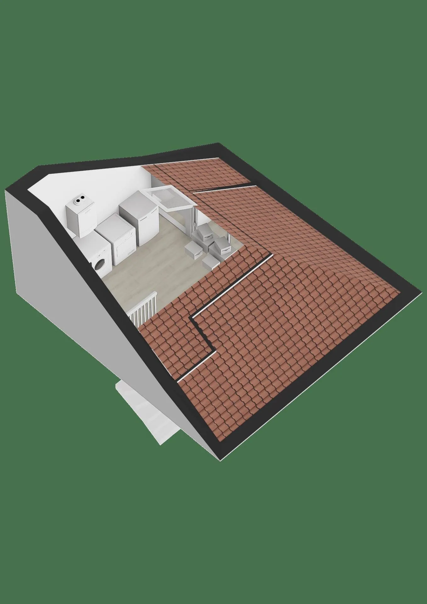 Penningkruid 45 Cuijk thumbnail 42