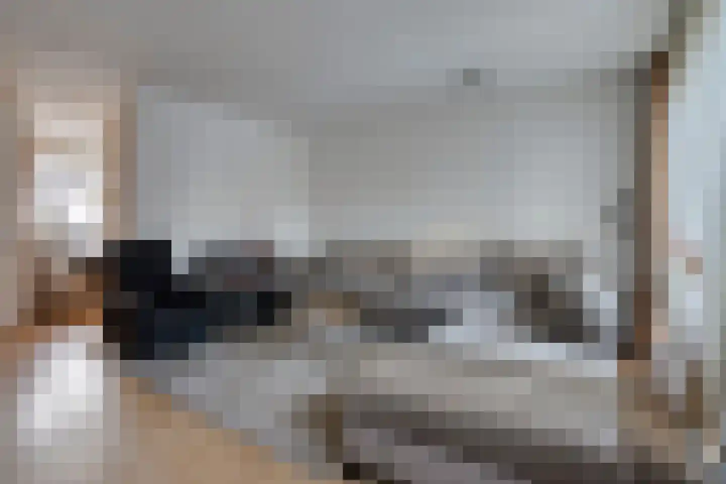 Penningkruid 48 Cuijk thumbnail 12