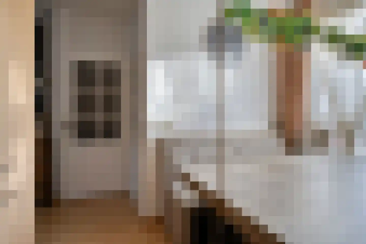 Penningkruid 48 Cuijk thumbnail 16