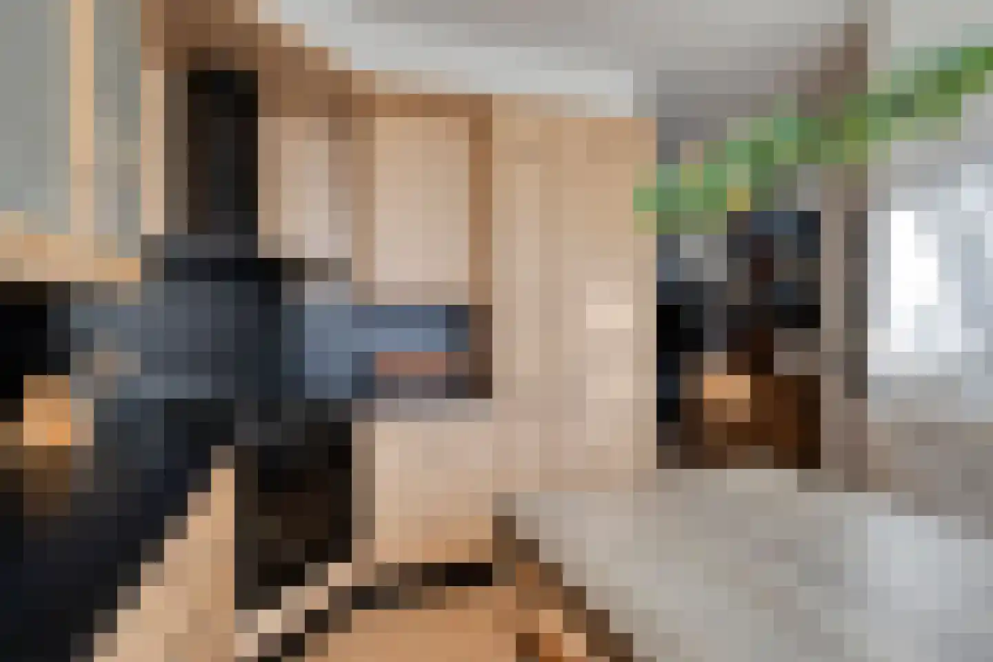 Penningkruid 48 Cuijk thumbnail 17